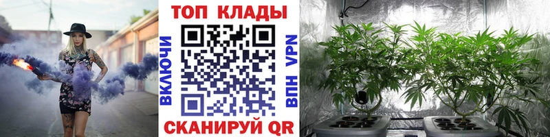 Виды наркотиков купить Дзержинский Галлюциногенные грибы Alpha-PVP ГАШИШ Меф мяу мяу Кокаин Канабис