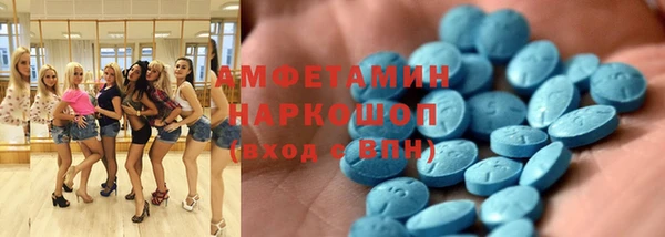 дмт Богданович