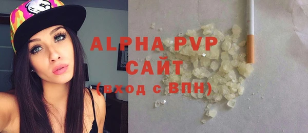 дмт Богданович