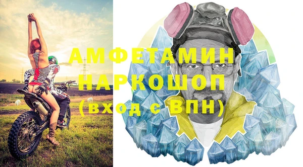 дмт Богданович
