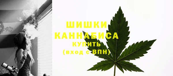 mdpv Бородино