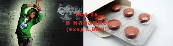 дмт Богданович