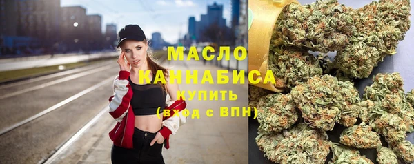 дмт Богданович