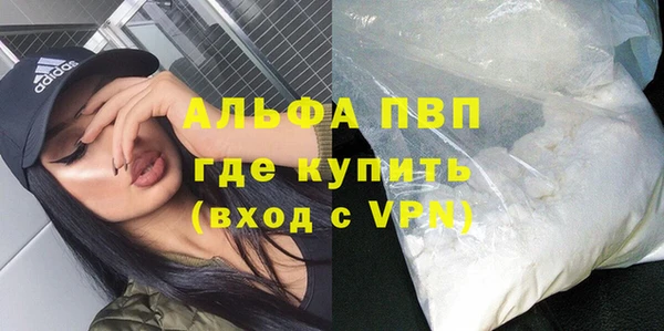 mdpv Бородино