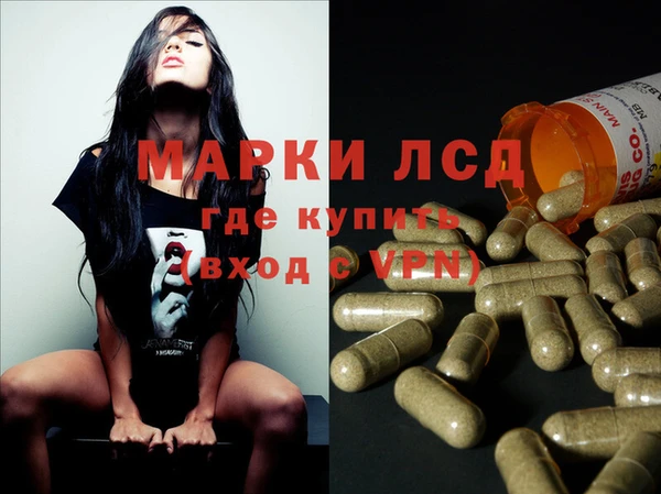 дмт Богданович