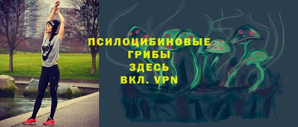 mdpv Бородино