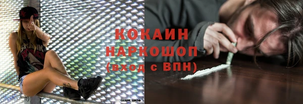 дмт Богданович