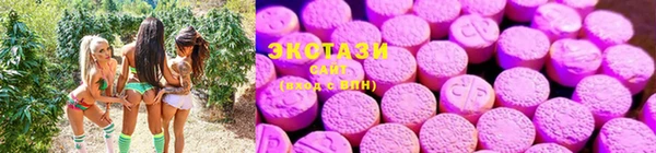 mdma Богородицк