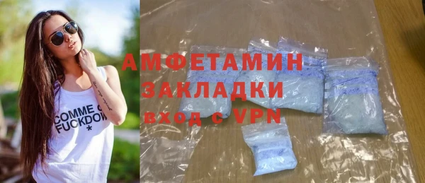 дмт Богданович